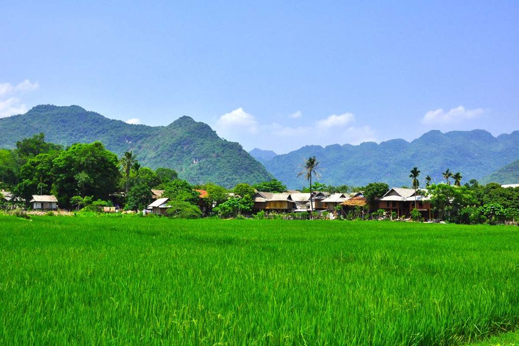 MAI CHAU MAI CHAU