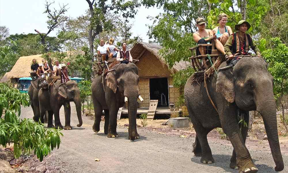VIETNAM CENTRAL HIGHLANDS VIETNAM CENTRAL HIGHLANDS