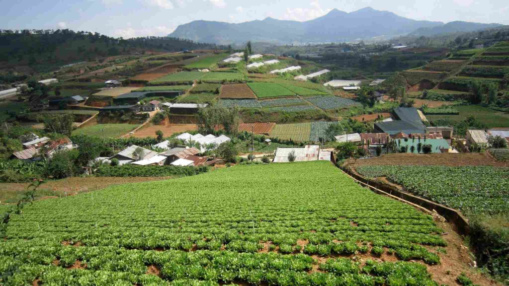 VIETNAM CENTRAL HIGHLANDS VIETNAM CENTRAL HIGHLANDS