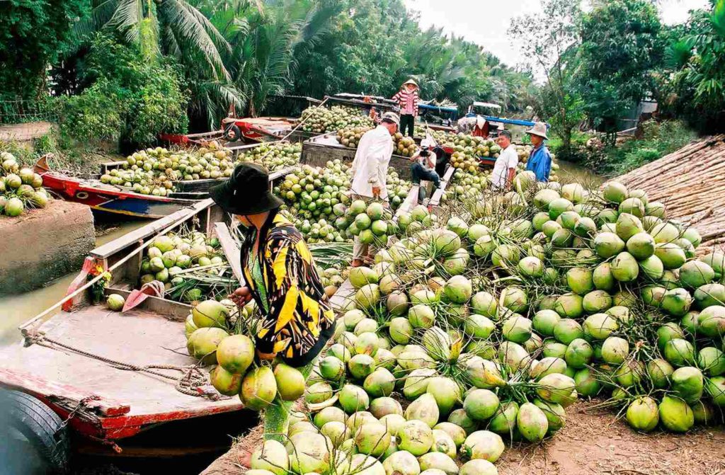 THE MEKONG DELTA
