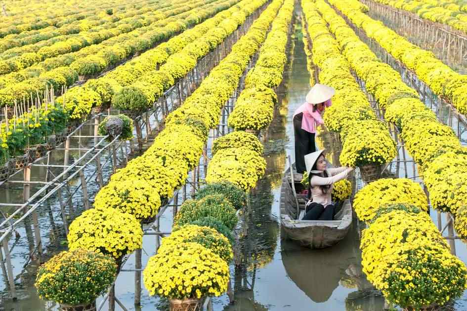 THE MEKONG DELTA
