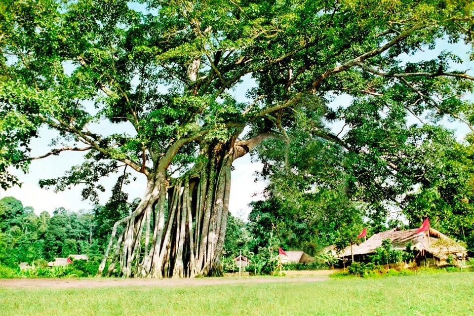 NORTHERN VIETNAM OFFROAD MOTORBIKE TOUR