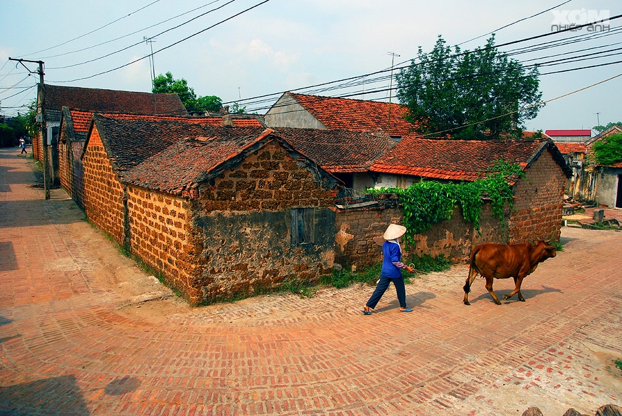 DUONG LAM ANCIENT VILLAGE