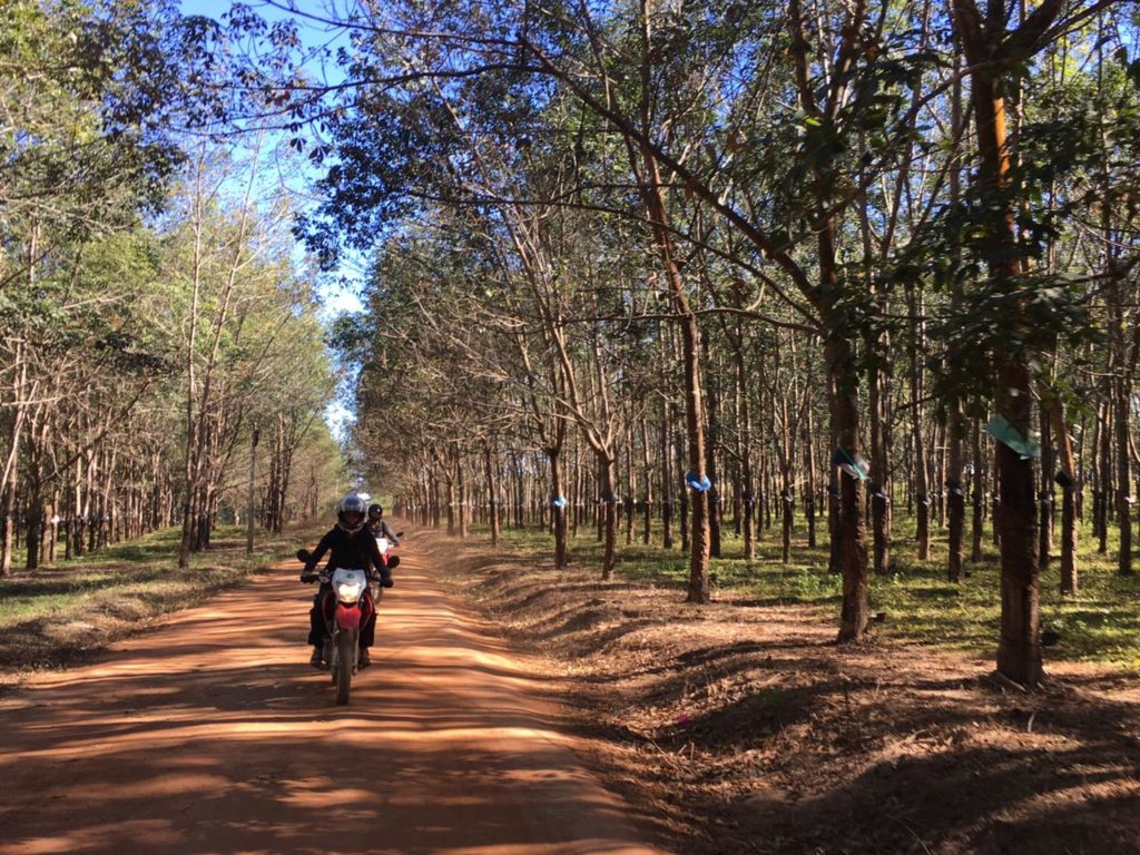 HOI AN LOOP MOTORBIKE TOUR VIA CENTRAL HIGHLANDS AND COASTLINE HOI AN LOOP MOTORBIKE TOUR VIA CENTRAL HIGHLANDS AND COASTLINE