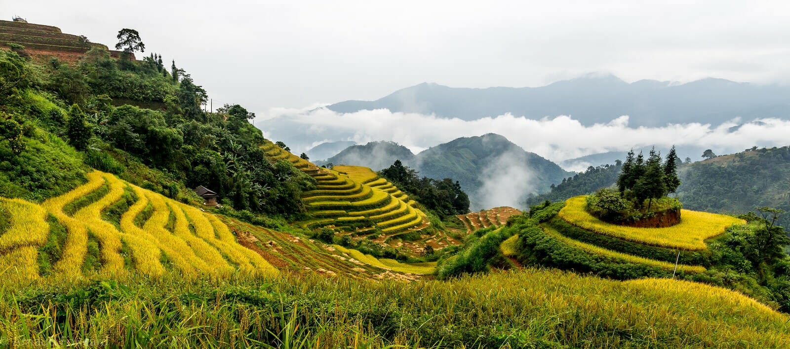 Best Things To See In Ha Giang?