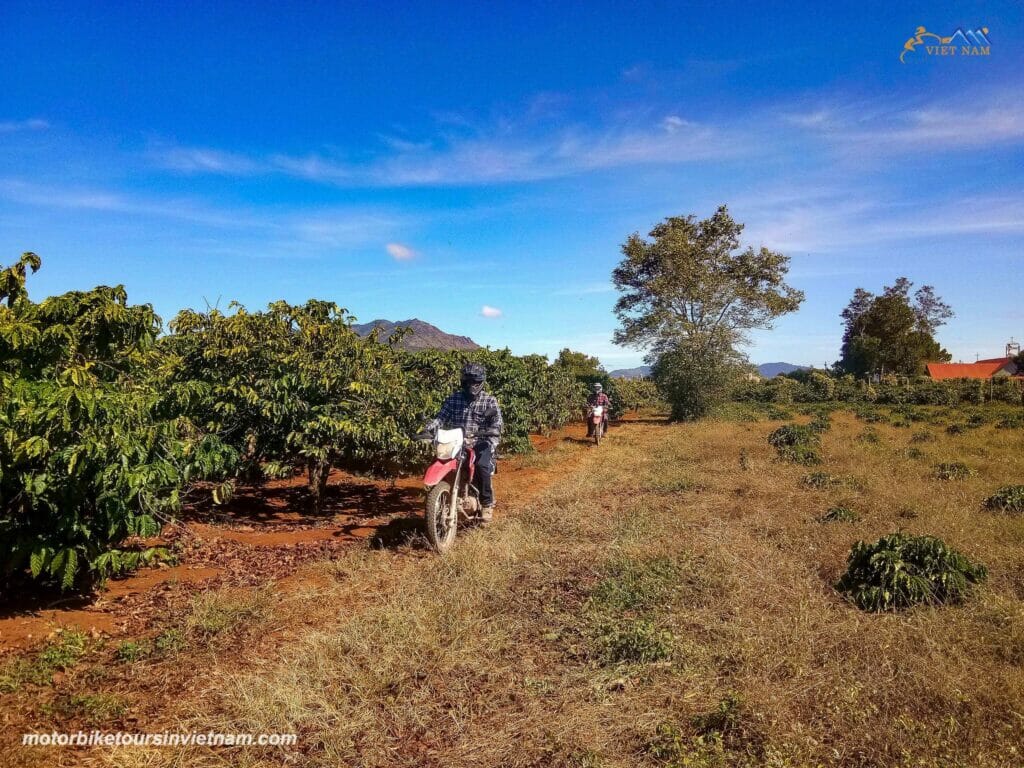 MUI NE MOTORBIKE TOUR TO DA LAT AND NHA TRANG MUI NE MOTORBIKE TOUR TO DA LAT AND NHA TRANG