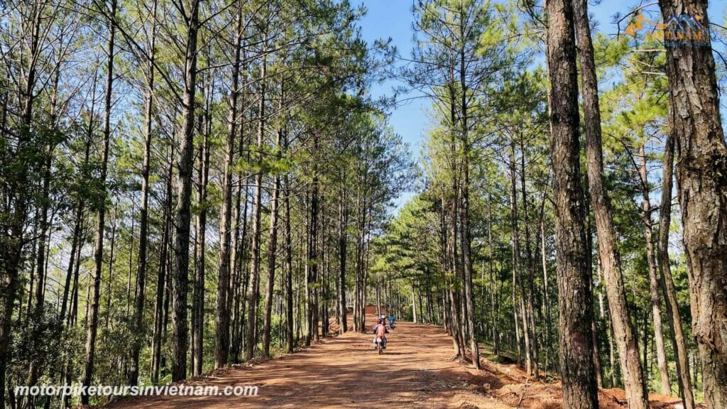 5-DAY SAIGON MOTORCYCLE TOUR TO DA LAT, NHA TRANG AND MUI NE