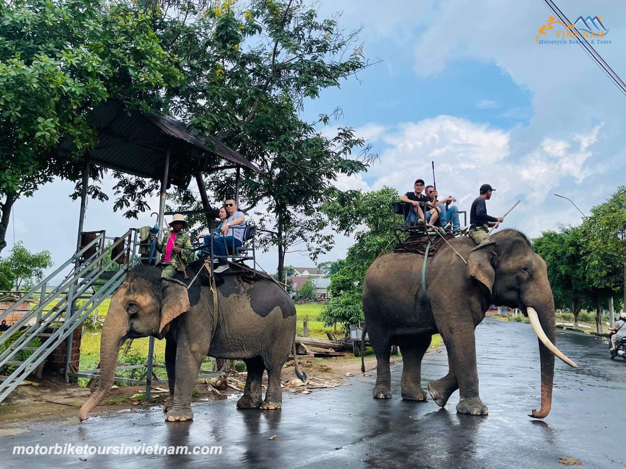 Saigon Motorbike Tour to Mekong Delta, Da Lat via Ho Chi Minh Trail