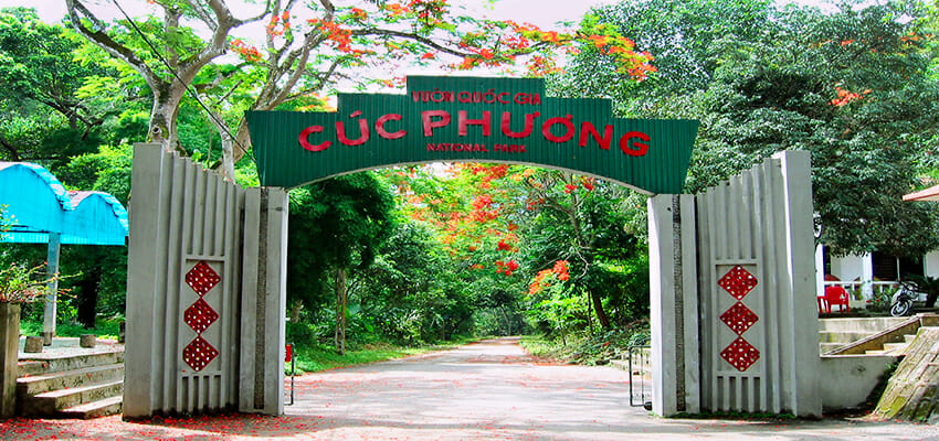 FULL DAY HANOI MOTORBIKE TOUR TO CUC PHUONG NATIONAL PARK