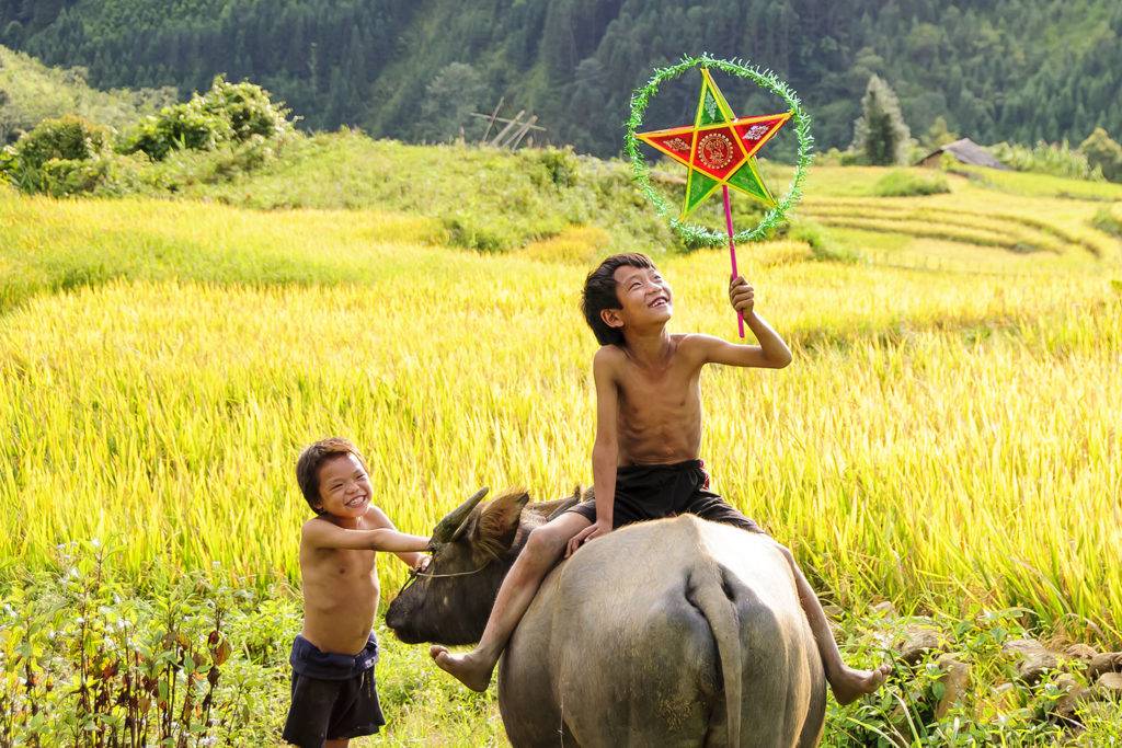 Exceptional Northern Vietnam Motorbike Tour from East to West - 14 Days Exceptional Northern Vietnam Motorbike Tour from East to West - 14 Days
