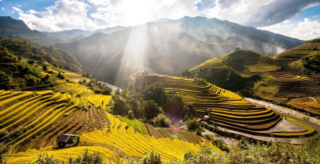 Northern Vietnam Motorbike Tour to Ta Xua , Mu Cang Chai, Y Ty, Sapa