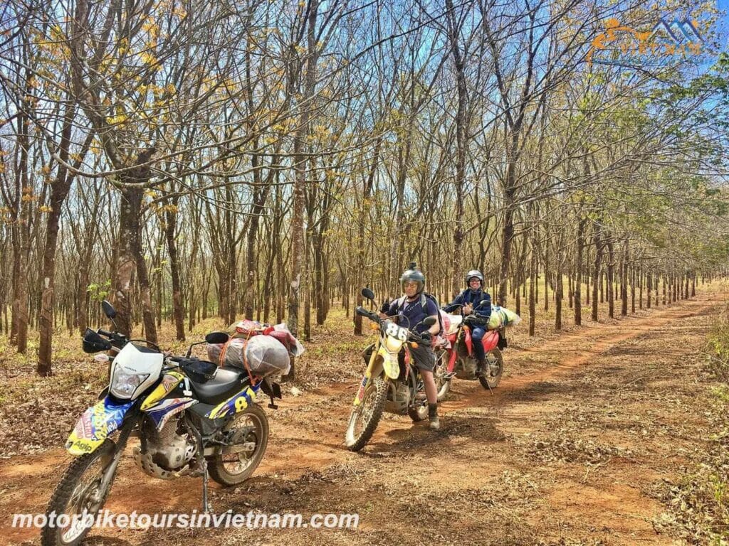 Saigon Motorbike Tour to Mui Ne and Da Lat For 4 Days
