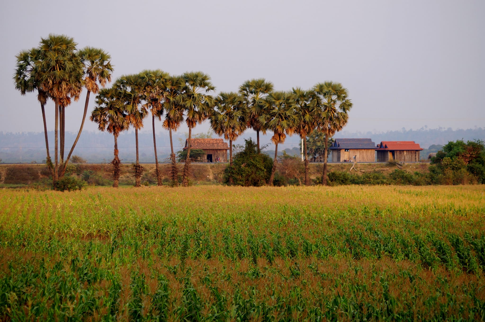 PHNOM PENH MOTORBIKE TOUR TO RURAL TAKEO 2-DAY