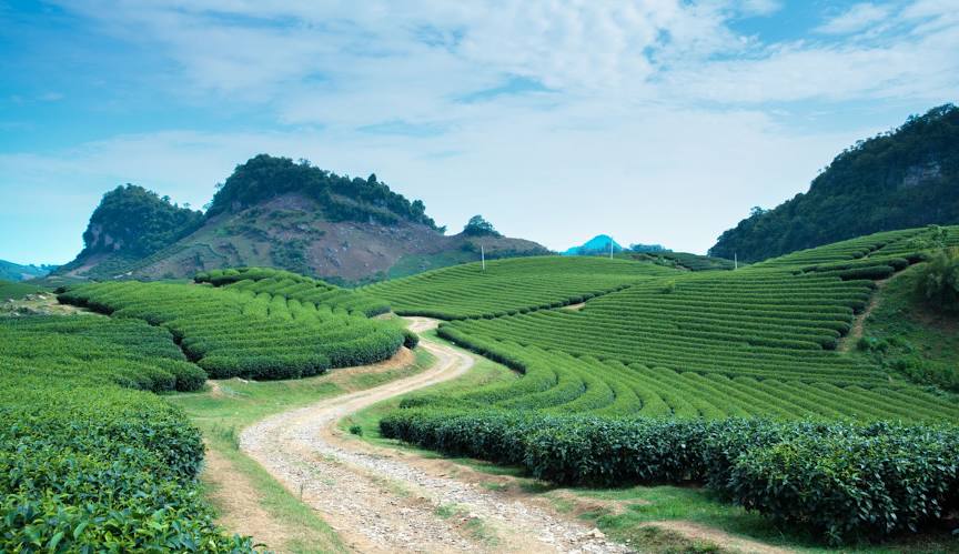 Vietnam Cross-Border Motorcycle Tour to Laos in Loop 12-Day