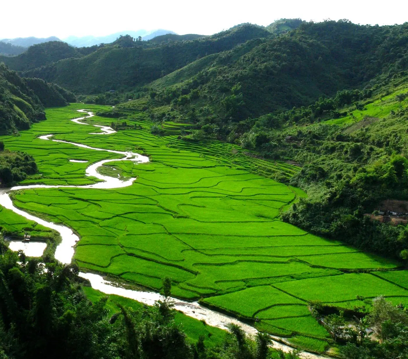 Enigmatic Laos Dirt Bike Tour from Luang Prabang to Pak Beng, Luang Namtha, Muang Xay